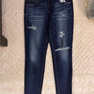 American Eagle Outfitters Dark Blue Distressed Skinny Jeans